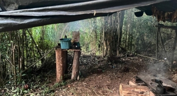 Goiás resgata 372 pessoas de trabalho escravo em 2023, o maior número do país
